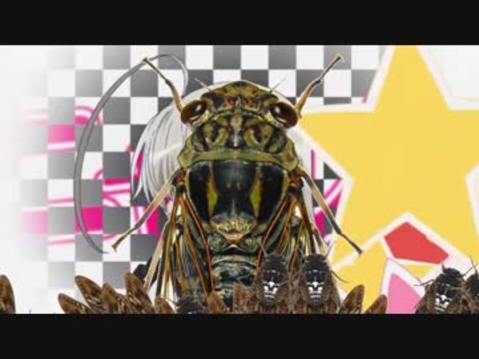 人気の セミの鳴き声シリーズ 動画 67本 2 ニコニコ動画