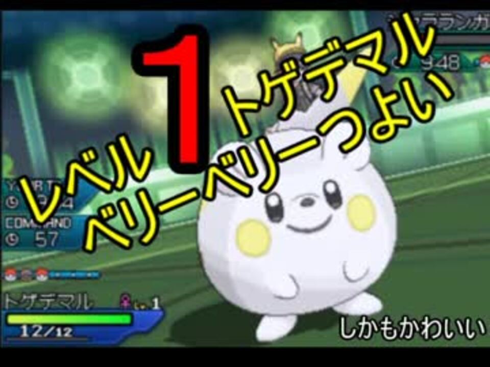 ポケモンuｓｍ レベル１トゲデマルがつよくてかわいい 実況 ニコニコ動画