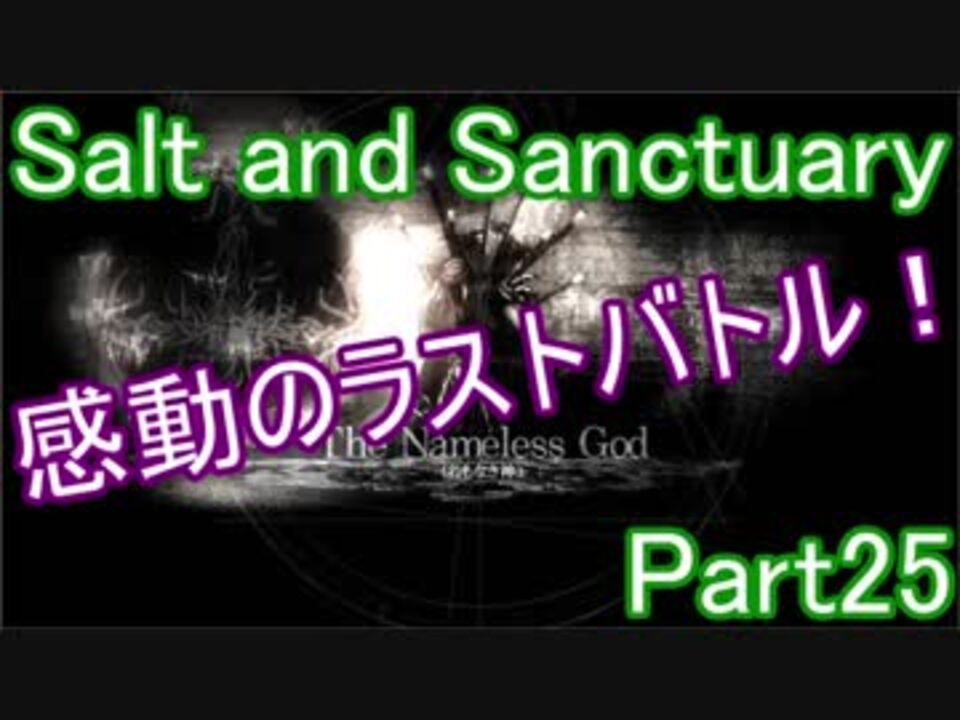 人気の ソルトアンドサンクチュアリ 動画 779本 15 ニコニコ動画