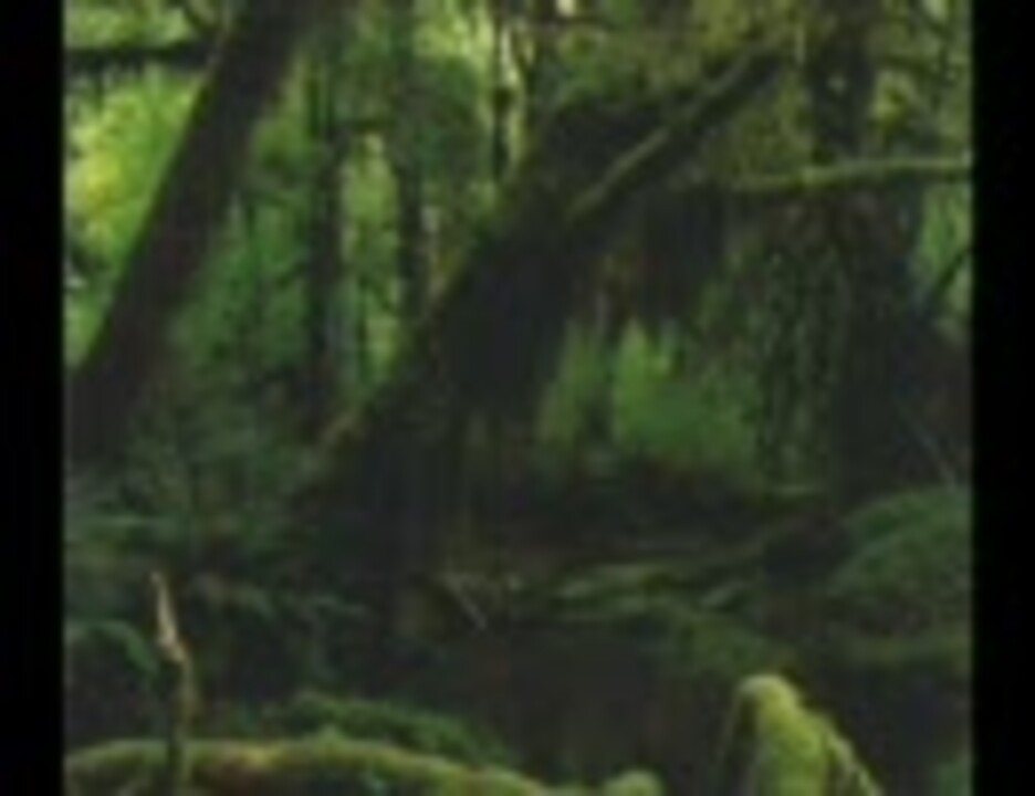 [BMS]The nearest JUNGLE / 狸穴 ニコニコ動画