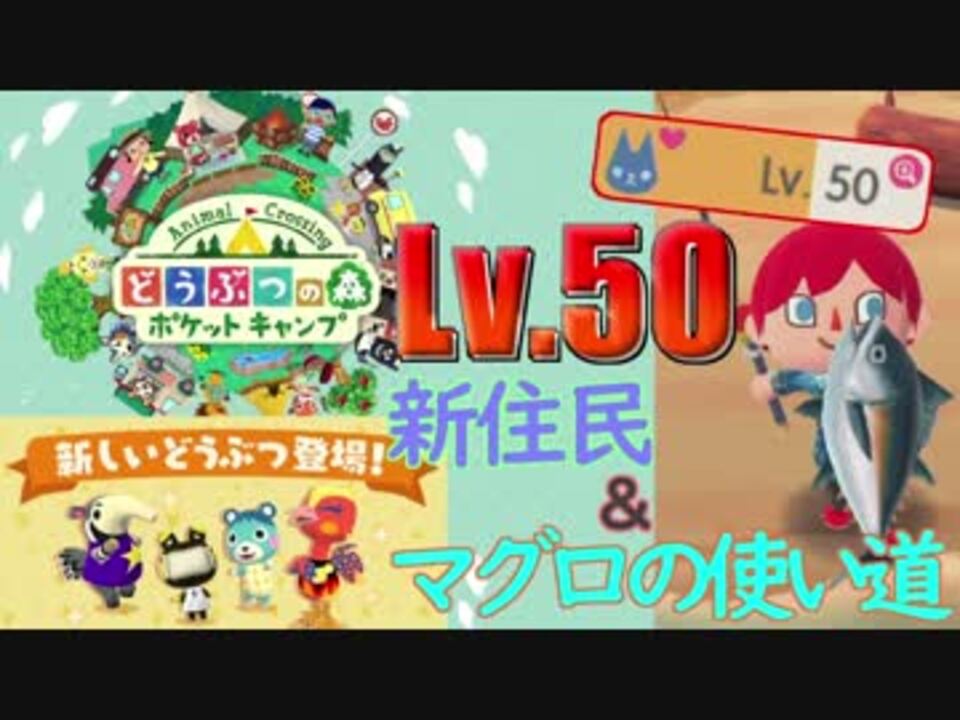 ポケ森 Lv 50になりました 新住民 マグロの使い道など ニコニコ動画