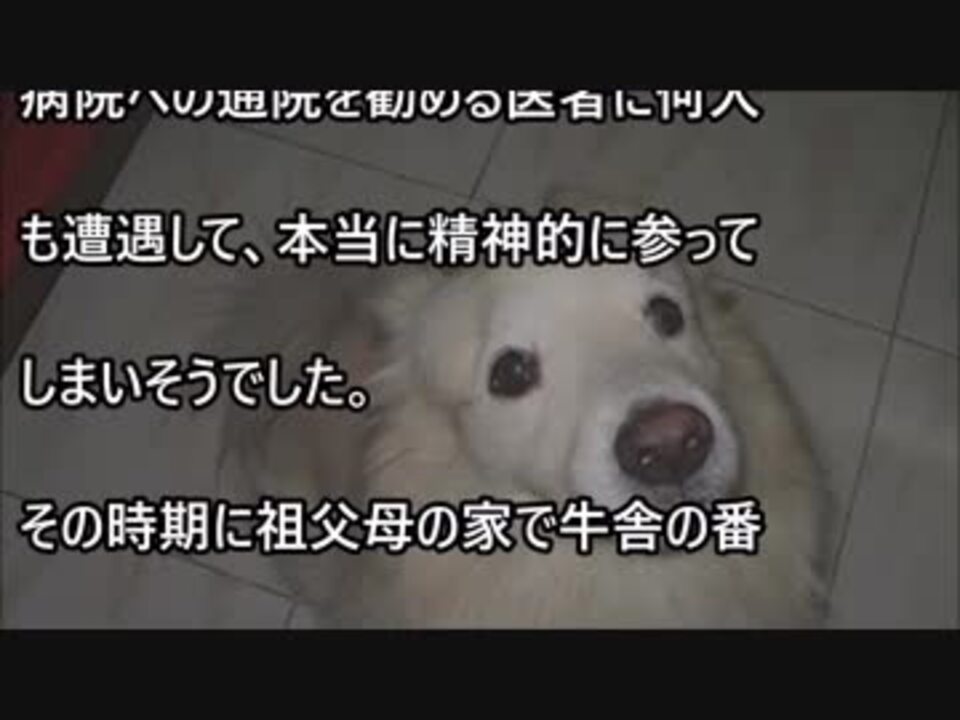 人気の 感動話 動画 4本 ニコニコ動画