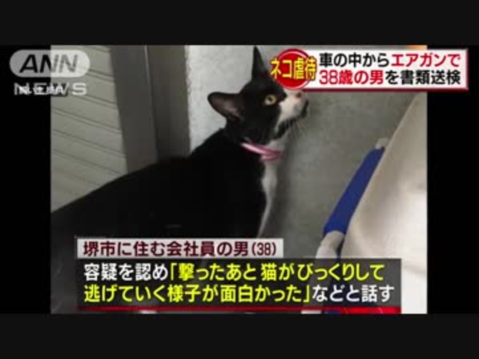 人気の 猫 ちくわ 動画 15本 ニコニコ動画