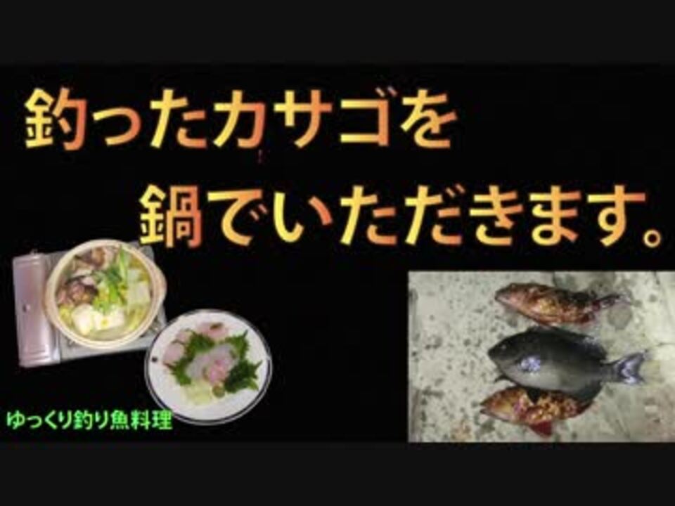 釣ったカサゴを鍋でいただきます ニコニコ動画