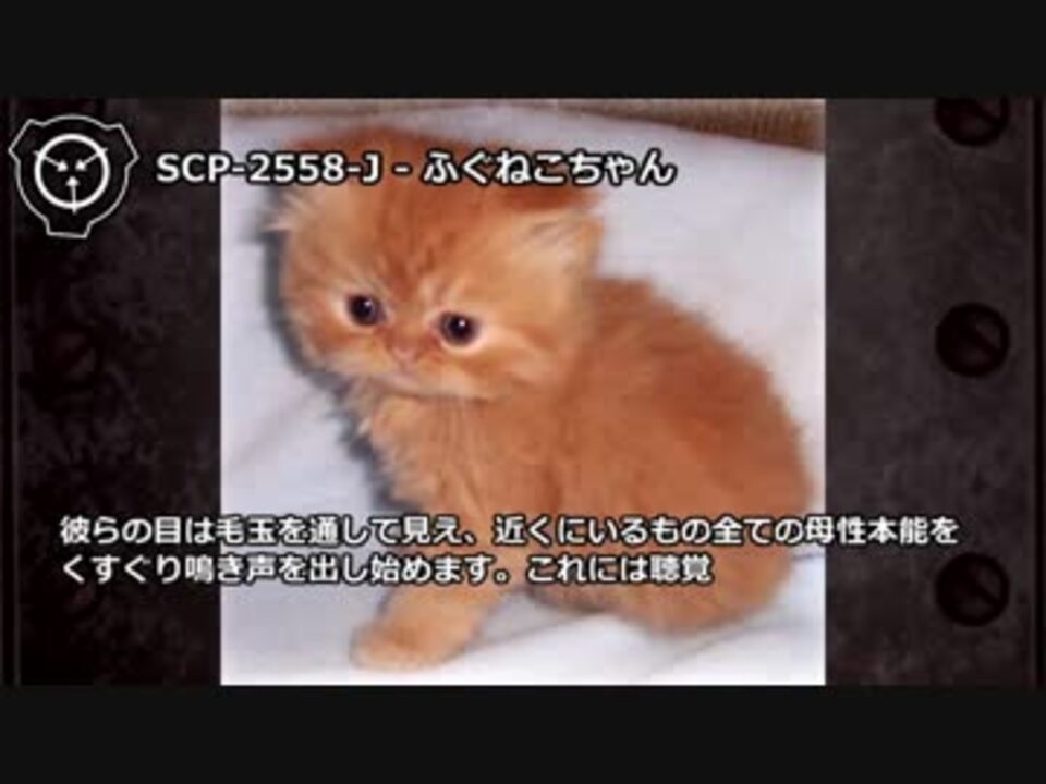 怪異214 Scp 2558 J ふぐねこちゃん ニコニコ動画