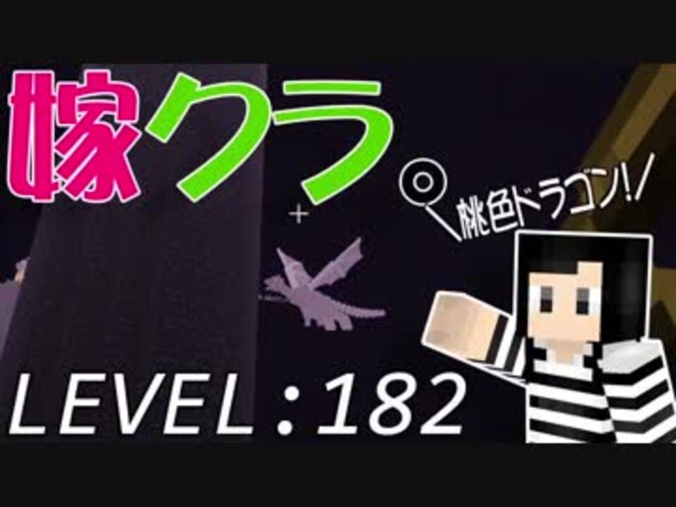 嫁がマイクラ始めました 182 ジ エンドで暗視ｐは使えるか