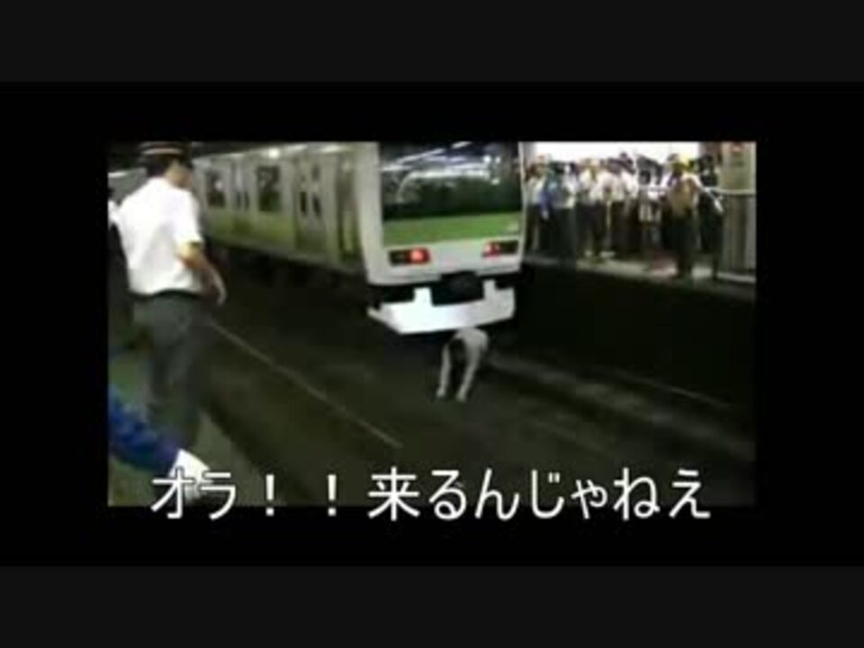 歌の後に 全員ここで死ぬんだよ Part1 ニコニコ動画