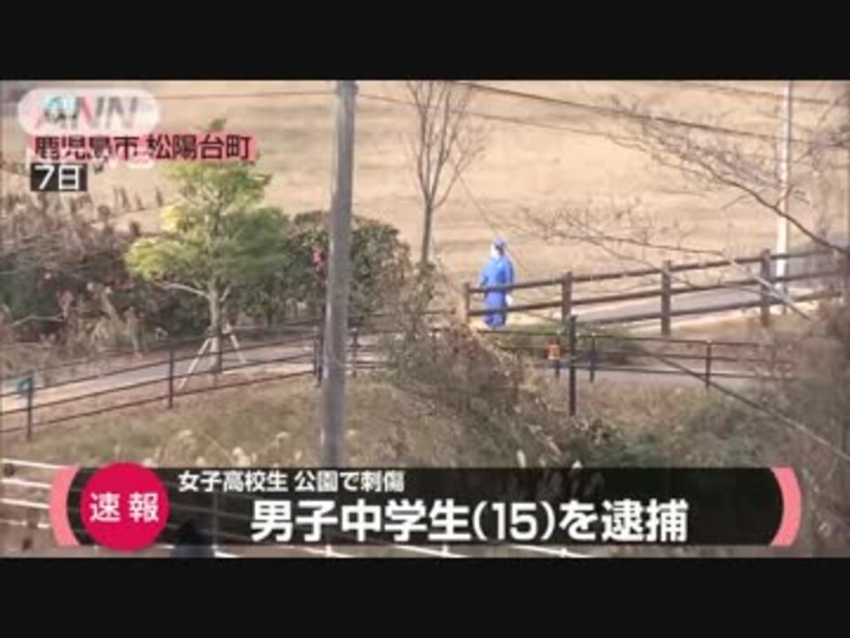 人気の 傷害 動画 52本 2 ニコニコ動画