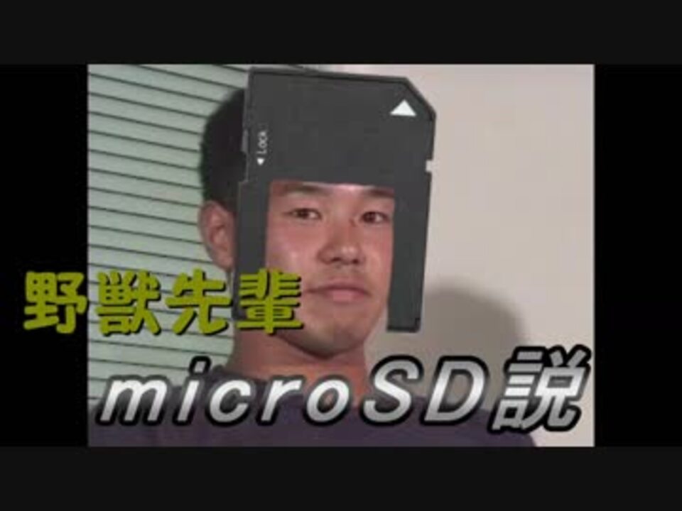 野獣先輩コントローラー 野獣先輩microSD説 - ニコニコ動画