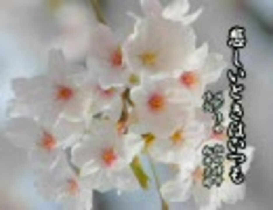 松田博幸悲しいときはいつも ニコニコ