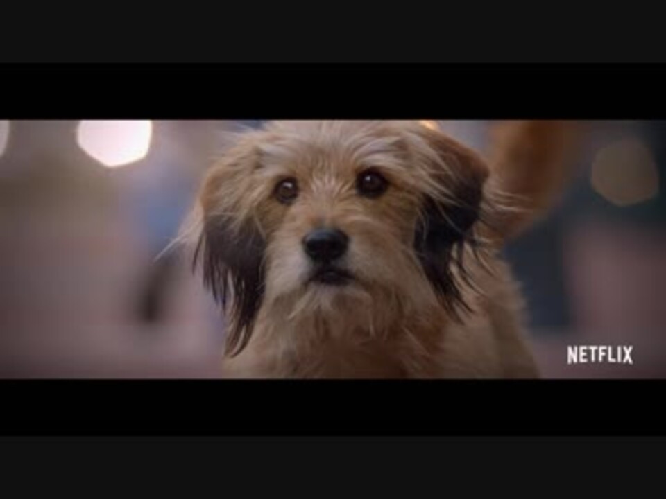 ベンジー 予告編 70年代にブームを巻き起こした犬映画をリメイク ニコニコ動画