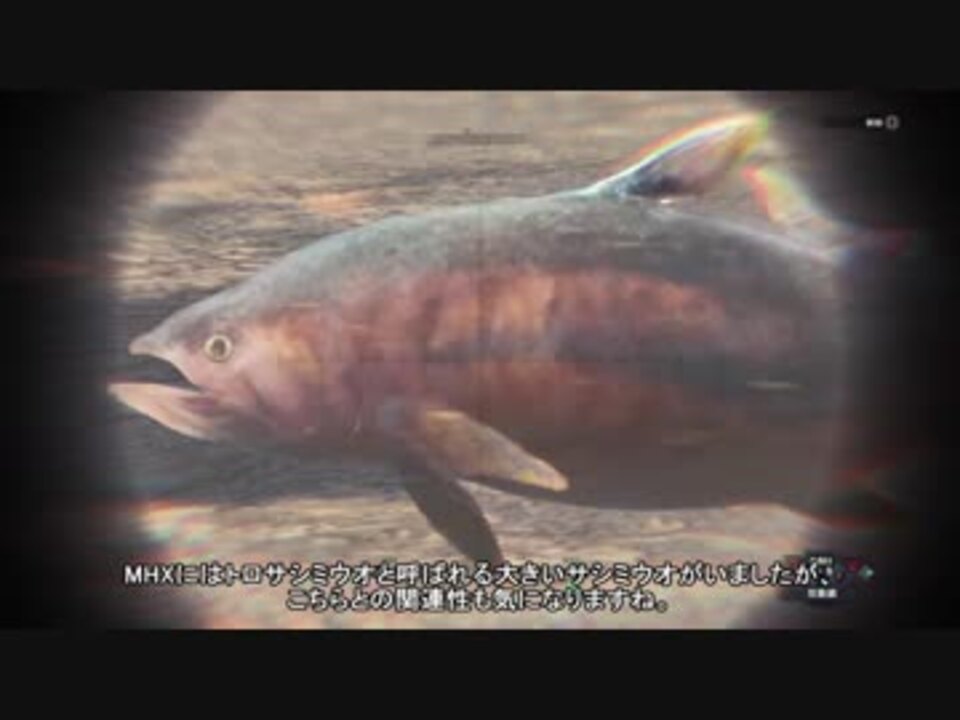 Mhw 釣りハン日誌 第二回 サシミウオ編 釣り動画 ニコニコ動画