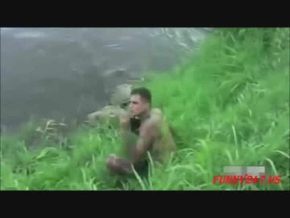 衝撃映像 大惨事に絶対絶命 野生動物に襲われるハプニング集 ニコニコ動画