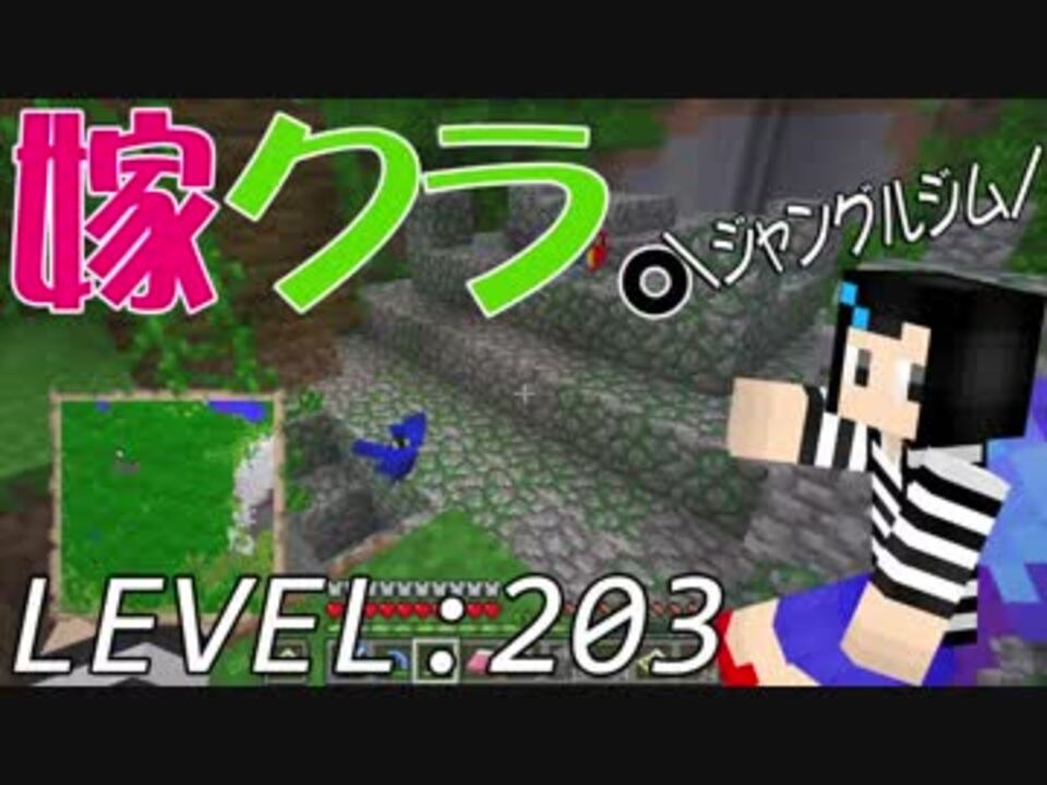 嫁がマイクラ始めました 3 二百記念 ジャングルの寺院を探すぞ ニコニコ動画