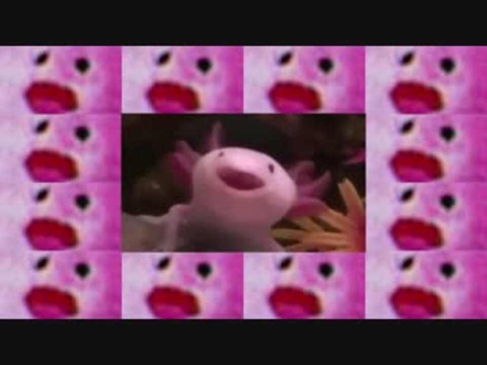 人気の ウーパールーパー 動画 796本 ニコニコ動画