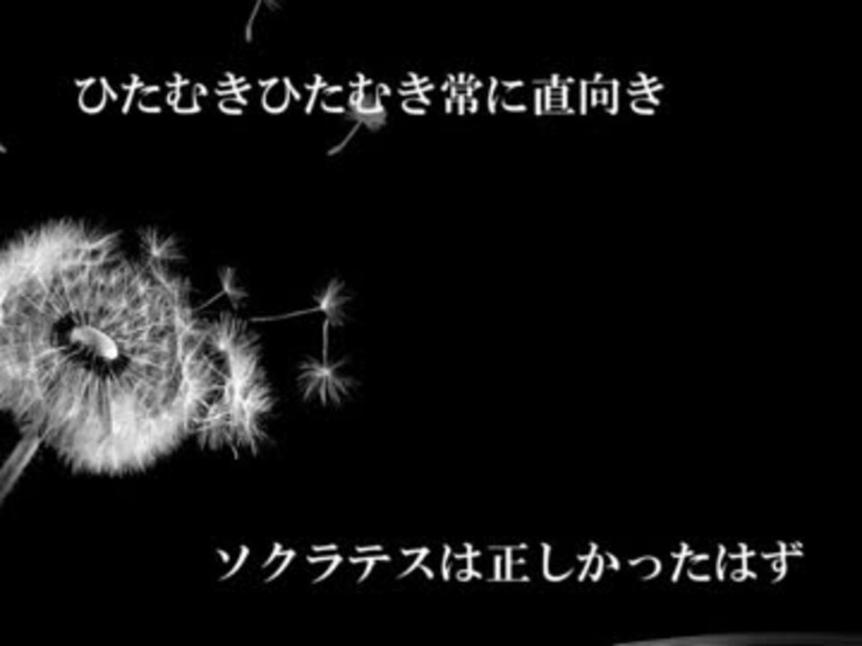 人気の Vocaloid Utauオリジナル曲 初音ミク 動画 15 436本 40 ニコニコ動画