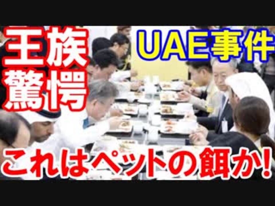 ｕａｅ王族が韓国料理を見た瞬間がすごい これは これはなんだ ペットの餌なのか ニコニコ動画