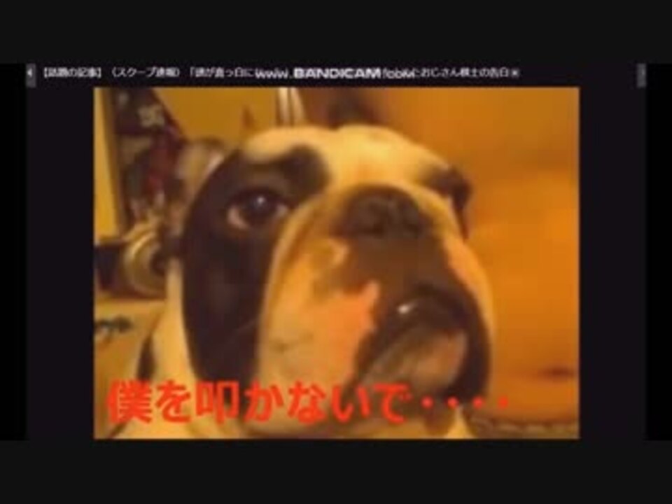 ウナちゃんまん 佐野 犬虐待 募金詐欺 ニコニコ動画
