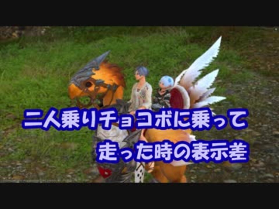 マウント二人乗りした場合の後ろの人との表示差を動画にしてみた Ff14 ニコニコ動画