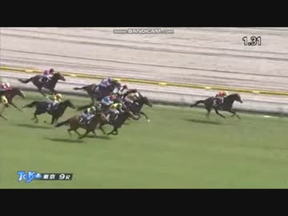 競馬 湘南ステークス レッドオルガ 止まるんじゃねぇぞ ニコニコ動画