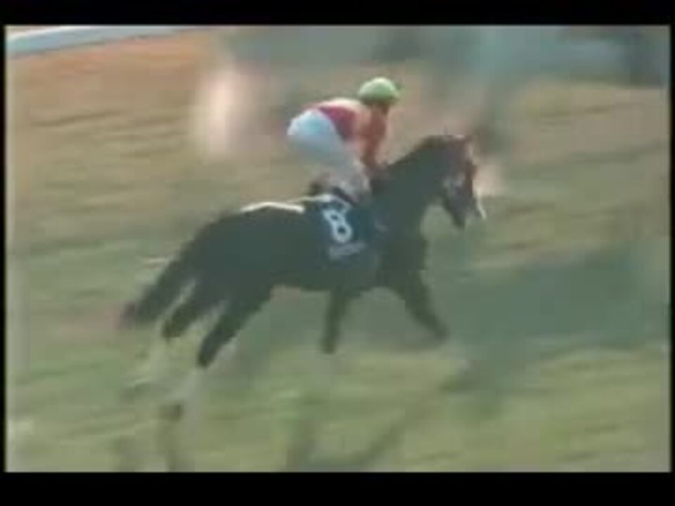 人気の 本馬場入場 動画 126本 2 ニコニコ動画