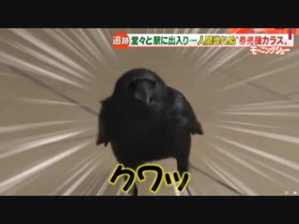 人気の 第118回音mad晒しイベント 動画 51本 ニコニコ動画