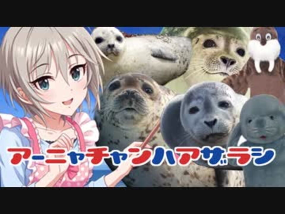 人気の あざらし 動画 1 108本 3 ニコニコ動画