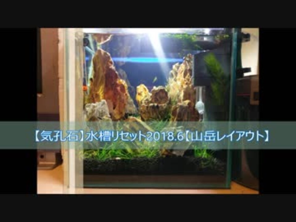 Gex Aquarium 多肉植物 グラスアクア 水草 シリンダー コケリウム