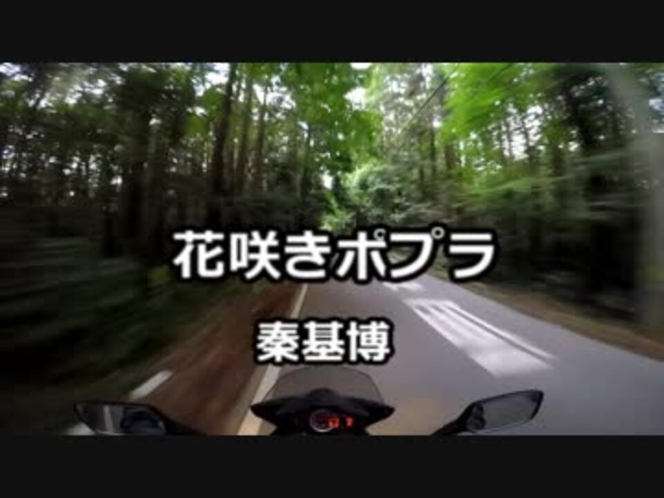 花咲きポプラ 秦基博 路上カラオケ ニコニコ動画