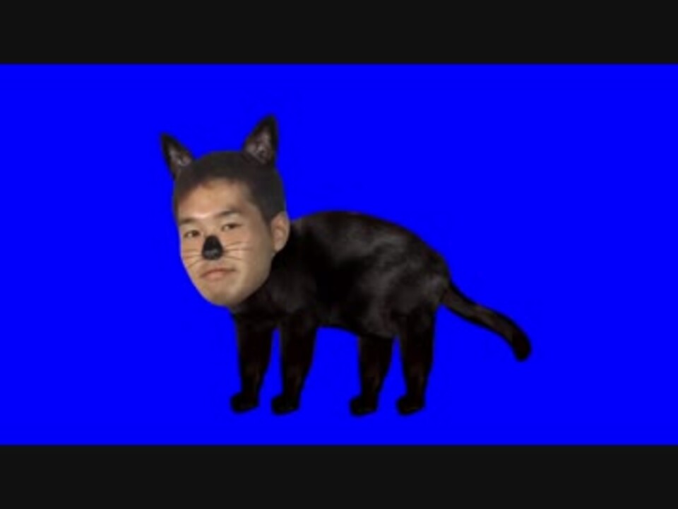 黒猫と化した先輩 ニコニコ動画
