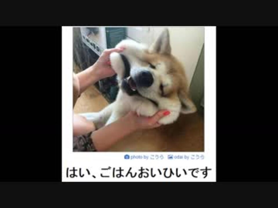 吹いたら負け ボケて 傑作画像集part12 腹筋崩壊 ニコニコ動画