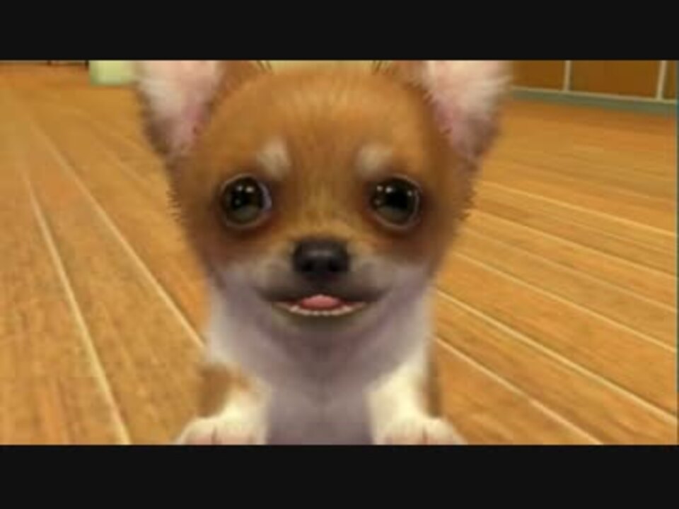人気の Nintendogs 動画 32本 ニコニコ動画