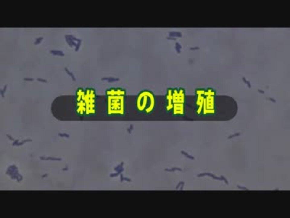 雑菌が増殖していく様子 - ニコニコ動画