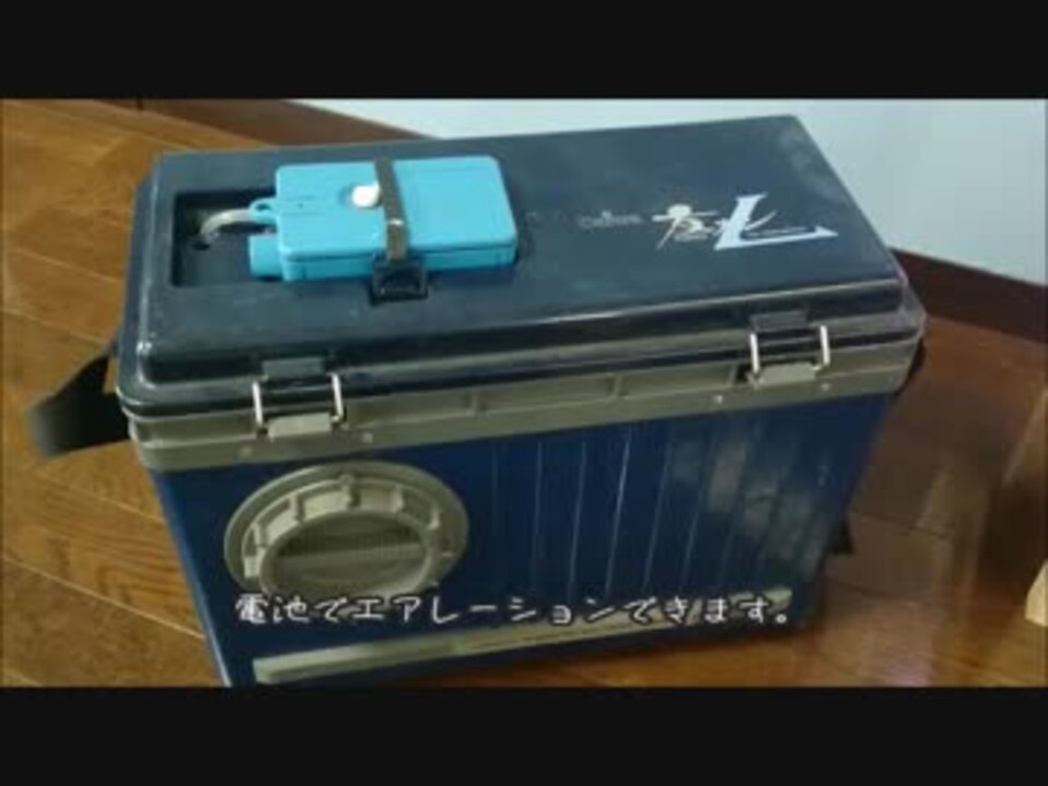 金魚を大きな水槽にお引越し ニコニコ動画