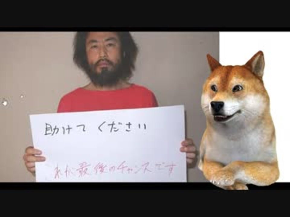 人気の 柴犬さんニュース 動画 136本 ニコニコ動画