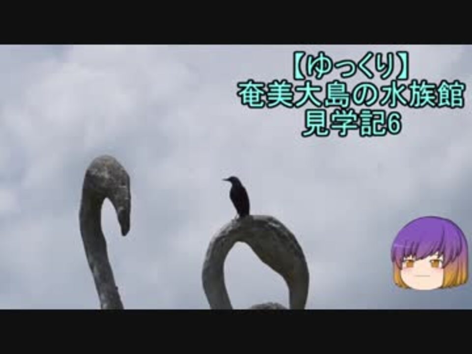 ゆっくり 奄美大島の水族館見学記6 ニコニコ動画