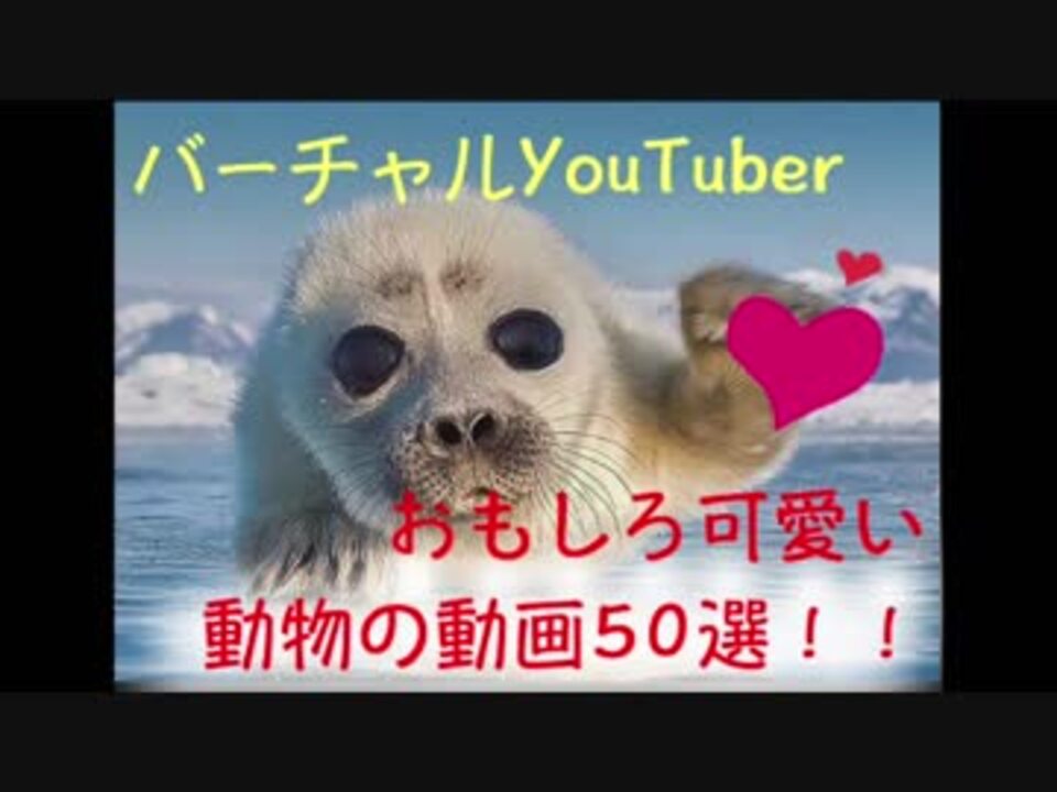 動物たちのおもしろ可愛い動画50選 バーチャルyoutuber ニコニコ動画