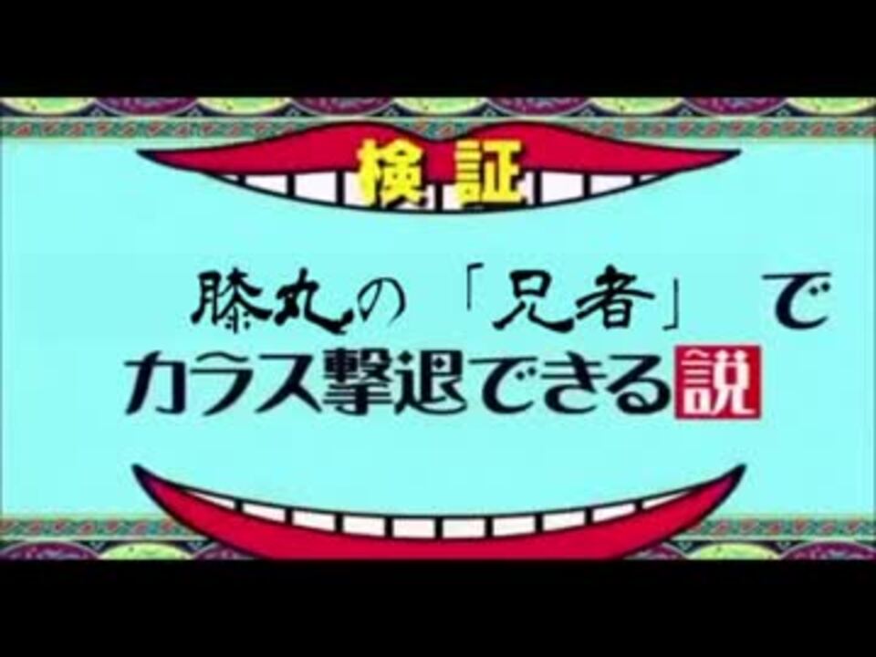 膝丸の 兄者 でカラス撃退できる説 ニコニコ動画