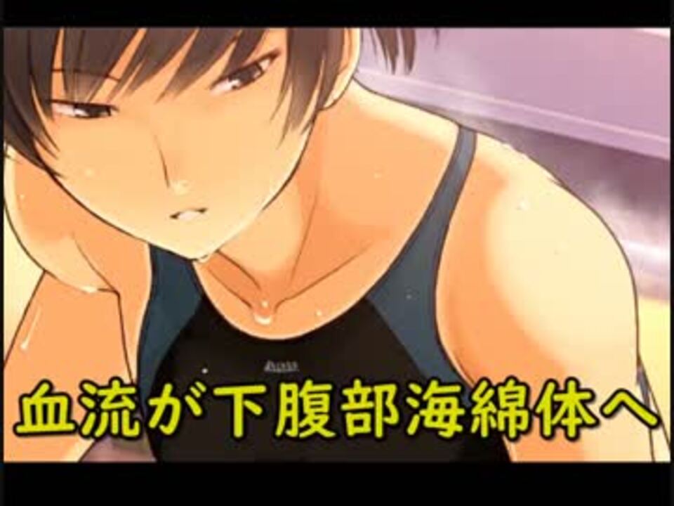 人気の 塚原響 動画 33本 ニコニコ動画