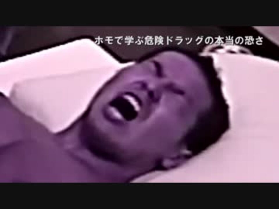 ホモで学ぶ危険ドラッグの本当の恐さ ニコニコ動画