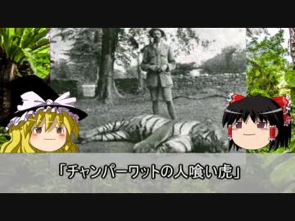 ゆっくり解説 トラによる獣害事件 チャンパーワットの人喰い虎 ニコニコ動画