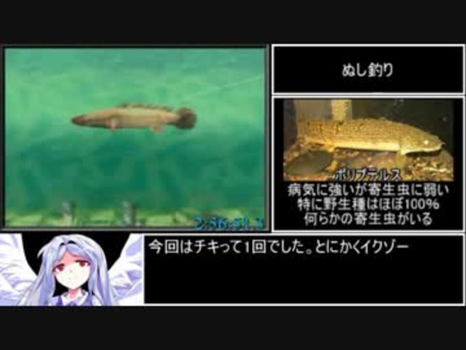 川のぬし釣り5 全魚種rta 3時間4分56 8秒 Part5 5 ニコニコ動画