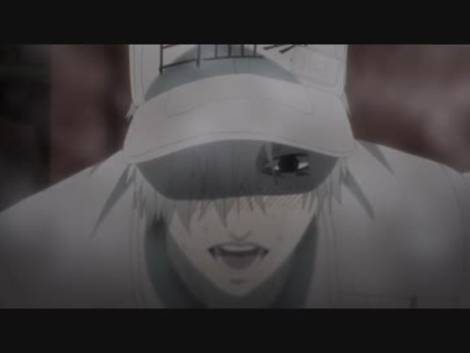 はたらく細胞 白血球さんがハァハァするだけ 1分耐久