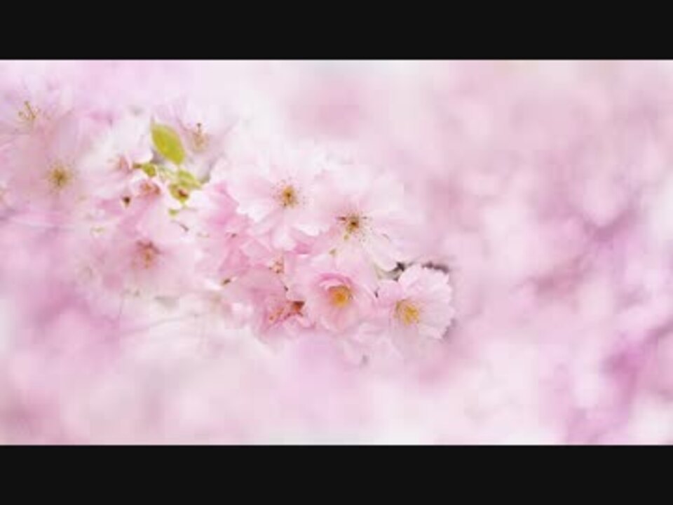 勉強がはかどる 作業用bgm00６集中力を高める音楽 無料bgm ニコニコ動画