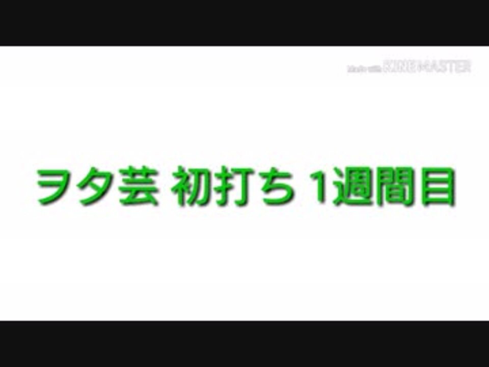 ヲタ芸 超初心者 アスノヨゾラ哨戒班 ニコニコ動画