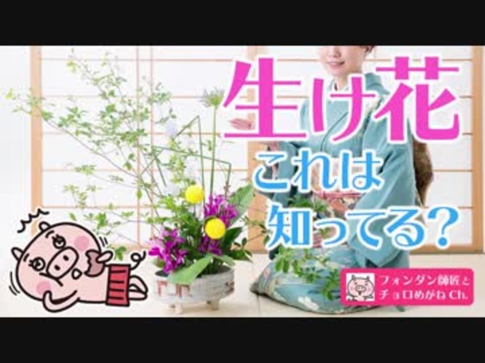 趣味は生け花 生け花達人のコツとマナーを伝授します ニコニコ動画