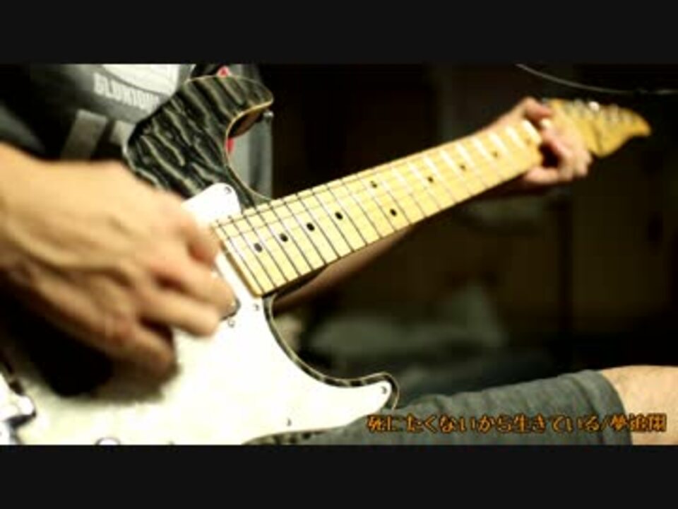 夢追翔 死にたくないから生きている 弾いてみた ニコニコ動画