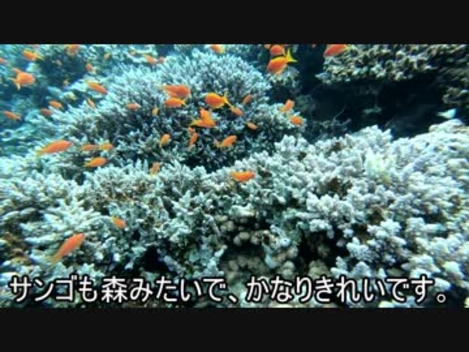 人気の ブルーホール 動画 本 ニコニコ動画