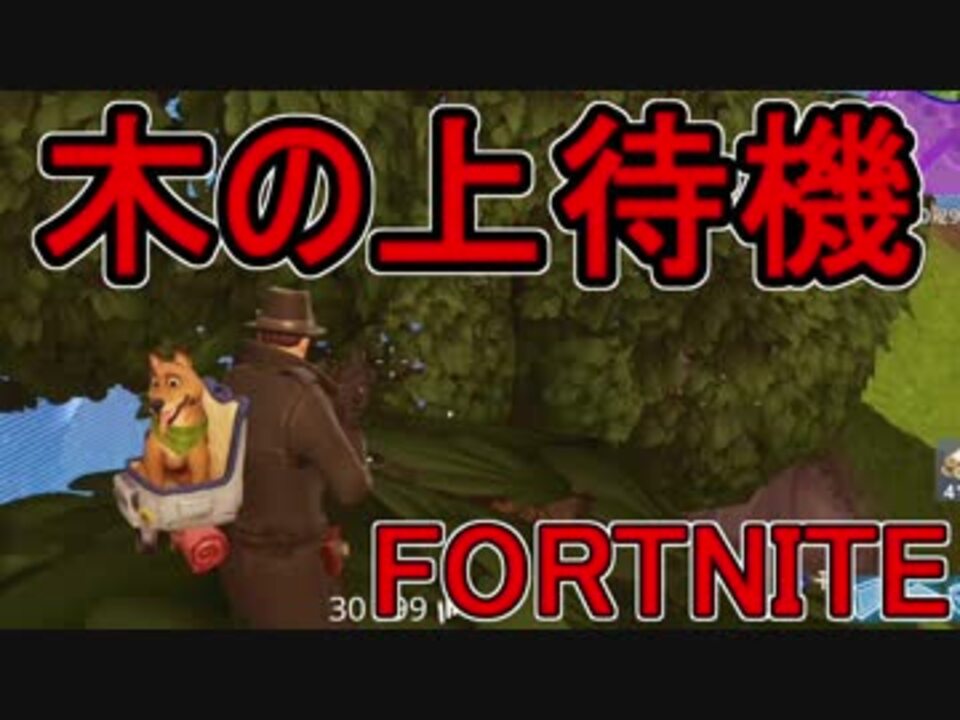 日刊 初心者だと思ってる人のフォートナイト実況プレイpart109 Switch版fortnite ニコニコ動画