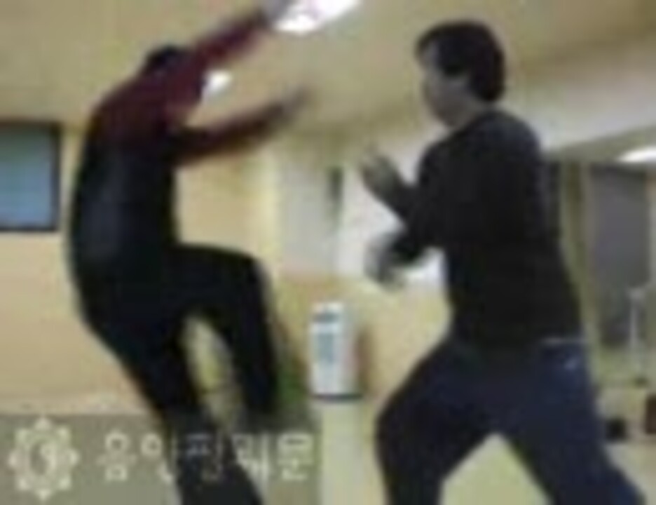 人気の 楊式太極拳 動画 12本 ニコニコ動画